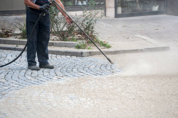 Best Fence Cleaning  in Crestline, CA